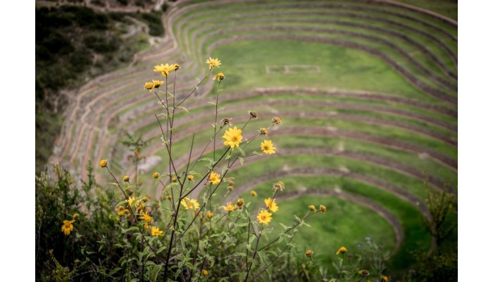 La Cultivation circulaire